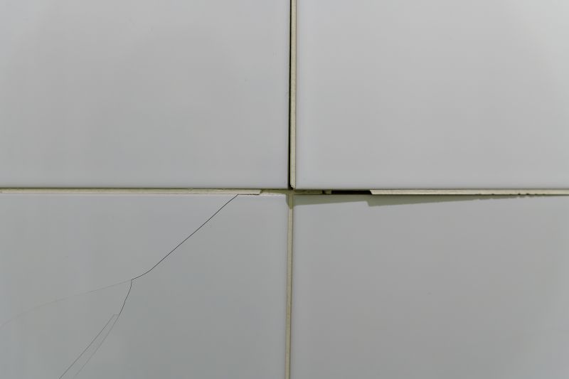 Tile Repairs